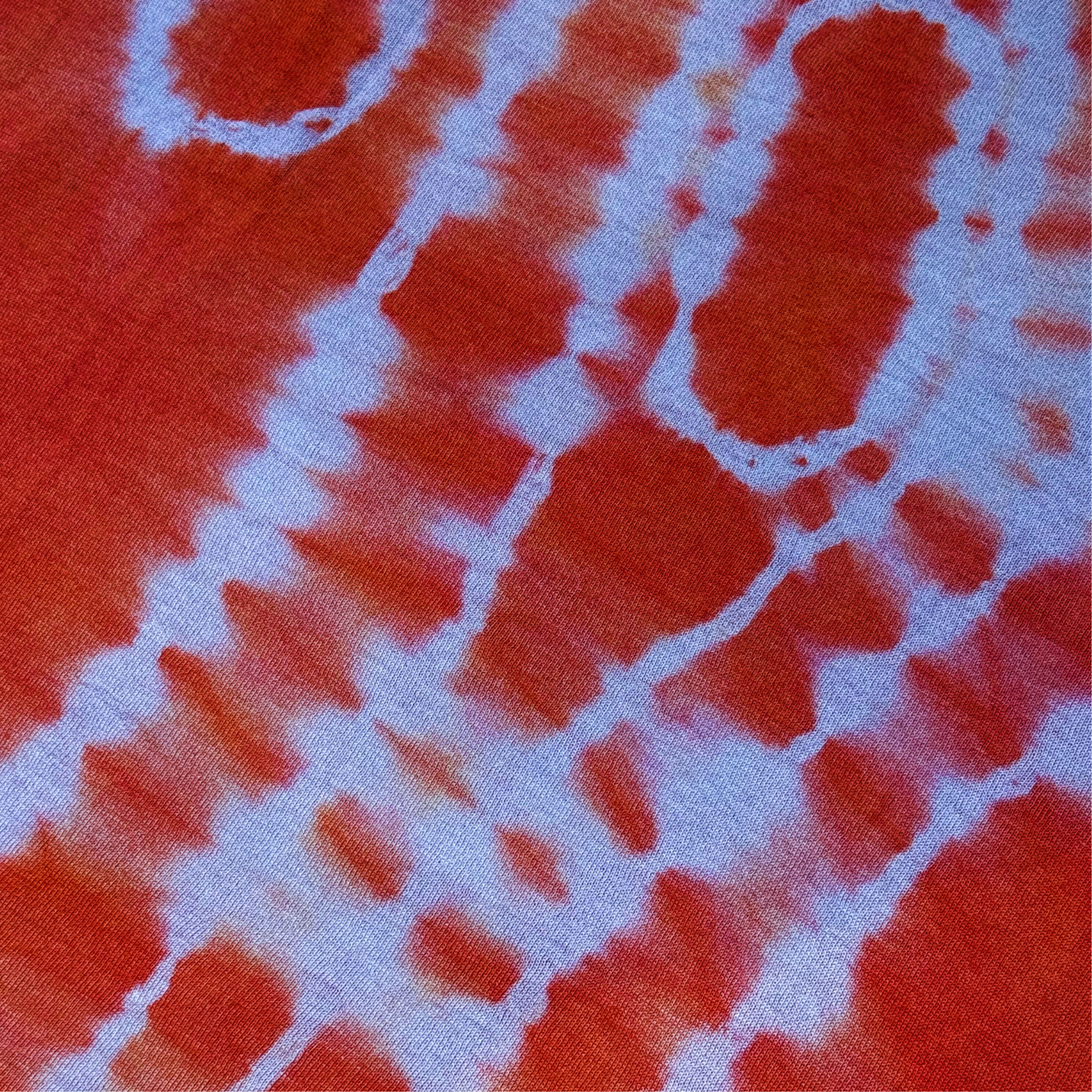 Track 04 — echo reef